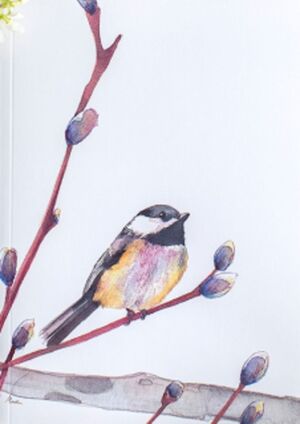 CUADERNO BOSQUE MARIALU