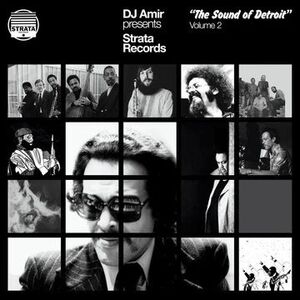 DJ AMIR PRESENTS: STRATA RECORDS. THE SOUND OF DETROIT VOLUME 2