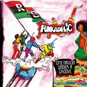 ONE NATION UNDER A GROOVE (2LP)