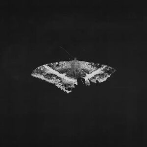 TO PIMP A BUTTERFLY (10 YEAR ANNIVERSARY EDITION)