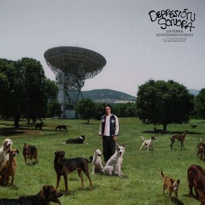 LOS PERROS NO ENTIENDEN INTERNET