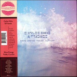 MORE ENERGY FIELDS, CURRENT