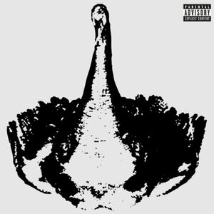 ULTRASWAN