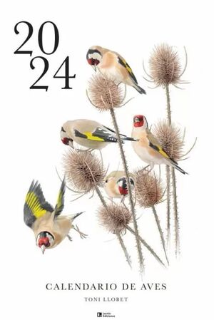 CALENDARIO AVES 2024