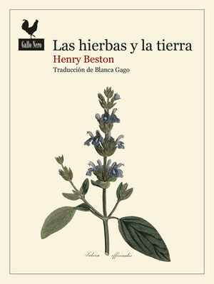 LAS HIERBAS Y LA TIERRA