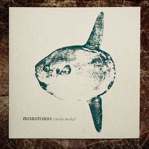 MOLA MOLA
