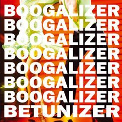 BOOGALIZER CD