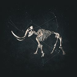HANNIBAL CD