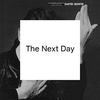 THE NEXT DAY