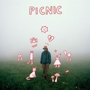 PICNIC CD