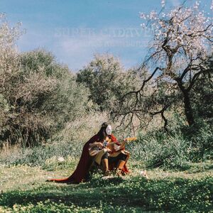 CABALLEROS ABANDONADOS