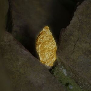ESPECTRO DORADO (LP)