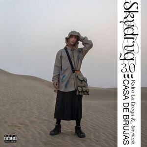 SKYDRVG 3.0 (CASA DE BRUJAS) 2LP