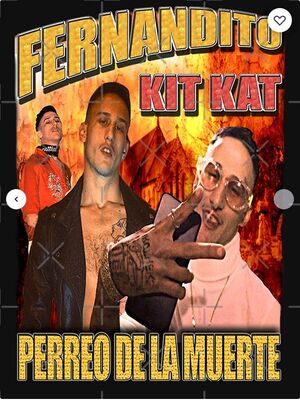 CAMISETA FERNANDITO KIT KAT (TALLA M)