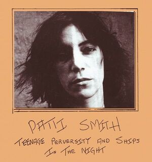 TEENAGE PERVERSITY AND SHIPS IN THE NIGHT